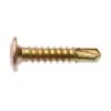 Zenith Metal Screws Wafer Head Gold 10G X 22mm - 100 Pack 2 Zenith Metal Screws Wafer Head Gold 10G X 22mm - 100 Pack -Home Hardware 2161073 1 4