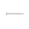 Pryda Timber Connector Nail Galvanised 35 X 3.15mm 5kg 2 Pryda Timber Connector Nail Galvanised 35 X 3.15mm 5kg -Home Hardware 2343150 1 2
