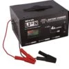Lion Metal Skin Battery Charger 4 Amp 1 Lion Metal Skin Battery Charger 4 Amp -Home Hardware 3378924 0 2