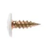 Zenith Timber Screws Button Head Needle Point 8G X 13mm - 100 Pack 1 Zenith Timber Screws Button Head Needle Point 8G X 13mm - 100 Pack -Home Hardware 6596340 0 156
