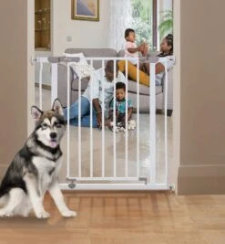 Dreambaby Ava Gate Swing Closed Security -Home Hardware 6671374 2
