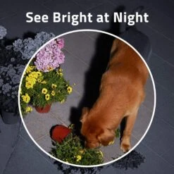 Eufy Security Spotlight Camera Solo White 2K -Home Hardware 6754204 7 7