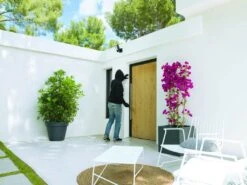 Netatmo Smart Outdoor Camera With Siren -Home Hardware 6936702 6 6