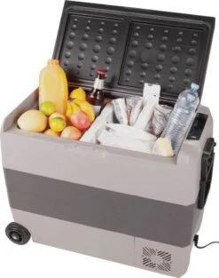 Brass Monkey DC AC Portable Fridge DZ 60L