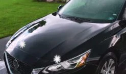 Carwash Cannon Soap Foam Blaster -Home Hardware 7092794 3